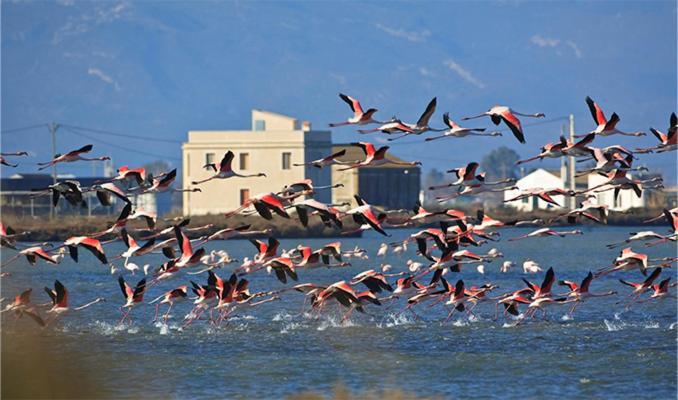 Lo Trabucador Casa nueva en el corazón del Delta Vila El Poble Nou del Delta Exterior foto